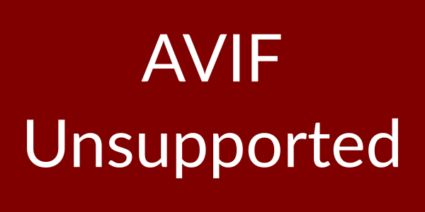 An image to test if your browser supports AVIF. The image will be a PNG if not supported.